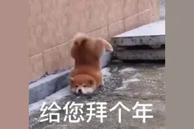 早报超有料丨赵今麦林一合作《一周的朋友》春节档新片预售票房节节攀升图片