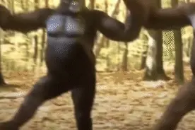 春节期间，多地出租车临时加价图片