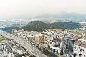 虎园虎山虎村虎企虎话 看看温州有哪些“虎”元素图片