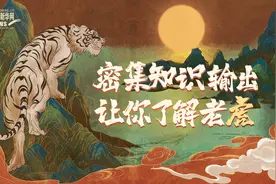 密集知识输出，让你更了解老虎图片