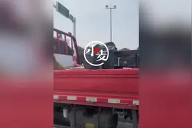 硬核春运！江苏一夫妻自驾4小时回家过年，开货车带宠物一路“敞篷”兜风图片