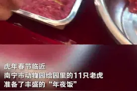 虎虎生威！南宁市动物园迎新春，百兽之王提前吃上了“年夜饭”图片