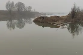深度解析鱼儿生活习性，看完你就明白了图片