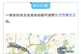 紧急通知！深圳跨市公交线路临时停运调整图片