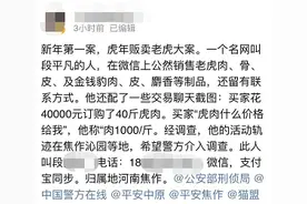 焦作农民“卖虎肉”一斤高达千元？警方已介入 当事人：是鹿肉图片