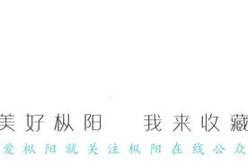 省级电商强镇！枞阳这个镇入选……图片