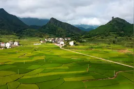 乡村振兴“劲儿”足不足？这些干部有了一套量化考核指标图片