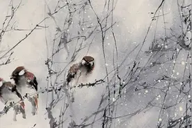 夜读 | 幸福是用来感觉的，不是用来比较的图片