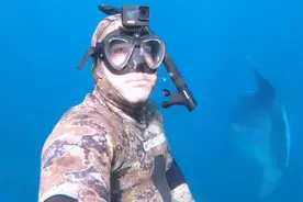 澳大利亚一男子潜水时遇翻车鱼 体型巨大似货车图片