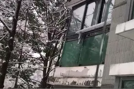 南京一只猕猴雪天造访居民家偷吃水果牛奶，社区：目前下落不明图片