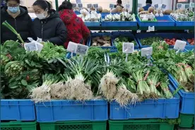 大雪后无锡市民“菜篮子”影响大吗？一元菜、二元菜“唱主角”图片
