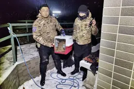 壹现场丨市民万元悬赏寻找宠物犬 春节丢失事件高发忙坏搜救队图片