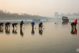 徒骇河上钓蚬人图片