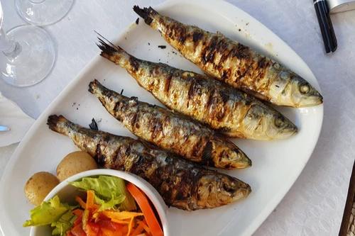 鳕鱼不适宜人群 2026年鳕鱼不适宜人群食用