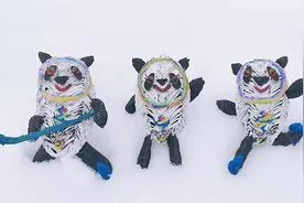 别人家的爷爷！72岁老人编织棕叶版“冰墩墩”送孙女图片