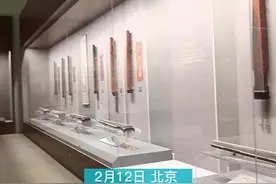 枯木龙吟、鸣凤、苍海龙……天目新闻带你观赏传说中的古琴珍品图片