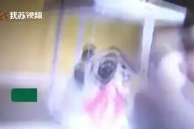 卖自制“冰墩墩”蛋糕？已经有商家被查处！