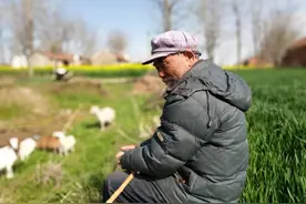 「青未了」赵金厚专栏 | 尿罐二哥图片