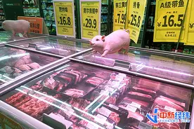 猪价一周涨超10%！有养殖户着急卖猪，一头能赚600元图片