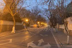 青未了｜别了，梧桐树图片