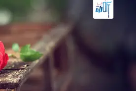 夜读丨“我爱你”的36种说法图片