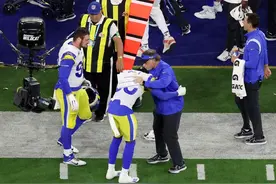 球迷错把“bowl”打成“owl”，猫头鹰成了美国“超级碗”潮梗图片