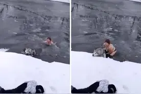 俄罗斯一65岁女子跳入冰河中救出被困哈士奇图片
