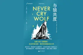 与北极荒原狼的一次“赤裸”相遇图片