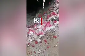 官方回应“河堤表层木棍一戳就破”：水泥含量不达标，正督促整改图片