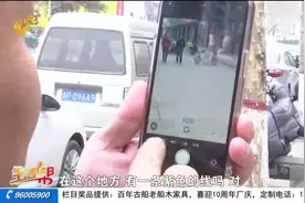 新买的苹果手机拍照出现紫色线条 经销商：需发回厂家检测 是质量问题尽量调换图片