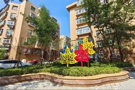 加快城市更新行动 天桥区已累计完成拆迁764万平方米图片