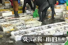 大降价！杭城此地，5块钱就能淘到这种美味：太鲜了！有人抢货30斤：买到就是赚到图片