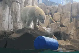 上班没状态？来这里一键帮你“满血复活”！图片