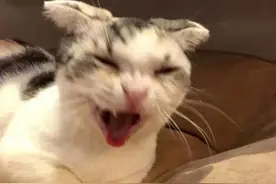 警惕！有种病比生孩子还痛，还偏爱中老年人！专家：这样预防有效→图片