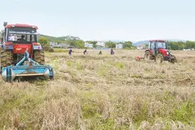 农行广东分行积极支持春耕备耕图片