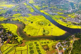 潼南油菜花又开了！快收好这份游玩攻略图片