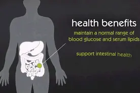 肠健康才能常健康，长痘、便秘、肥胖可能是肠道菌群出了问题图片