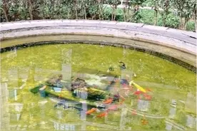 景观水池成回忆？这些小区水声潺潺图片