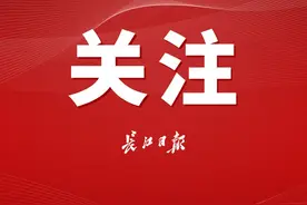 武汉这座长江大桥何时开建？官方回复图片