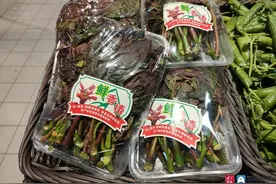 探访：开凌梭、新鲜春菜在青上市 车厘子跌出“白菜价”图片