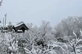 攻略来了！打卡伊滨区万安山免费景点，你只需要知道这些......图片