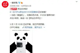 一加10 Pro胖达白512GB至尊版官宣！3月1日正式开售图片