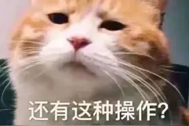 工资被同事知晓，盒马员工立遭开除！网友炸锅了！“密薪制”你怎么看？图片