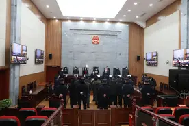 赔偿960万元！21名被告人因“捕、收、售”1.2万余只黄鼠狼被依法宣判图片