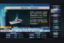 盐湖提锂板块开盘走强 西藏珠峰等概念股上涨丨板块牛熊榜视频封面