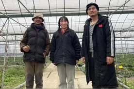 20亩草莓收成寥寥，但他相信努力不会骗人，34岁小伙的“不芜”创业梦，想在杭州发芽图片