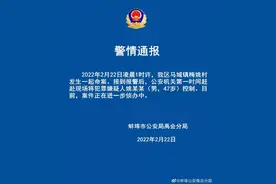 安徽蚌埠警方通报：一村庄发生命案，嫌犯已被控制图片