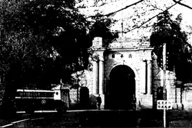 “骑毛驴至清华办公”图片