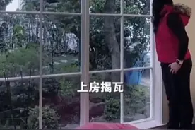 谷爱凌妈妈谈她小时候趣事 网友：这大概是谷爱凌最想删除的视频图片