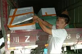 查获野生中华蟾蜍33吨 四川警方打掉一特大涉野生动物犯罪团伙图片